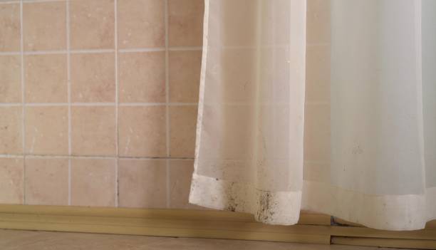 Best Indoor Air Quality Assessment  in Crab Orchard, WV