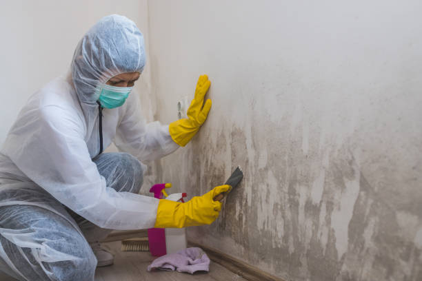 Best HVAC Mold Inspection and Cleaning  in Crab Orchard, WV