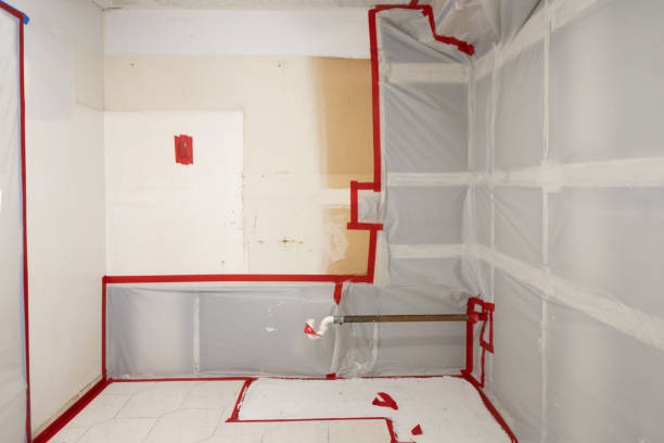 Best Asbestos and Lead Testing During Mold Inspection  in Crab Orchard, WV