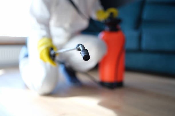 Best Post-Construction Mold Inspection  in Crab Orchard, WV