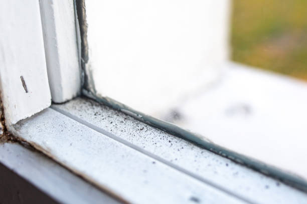 Best Forensic Mold Investigation  in Crab Orchard, WV