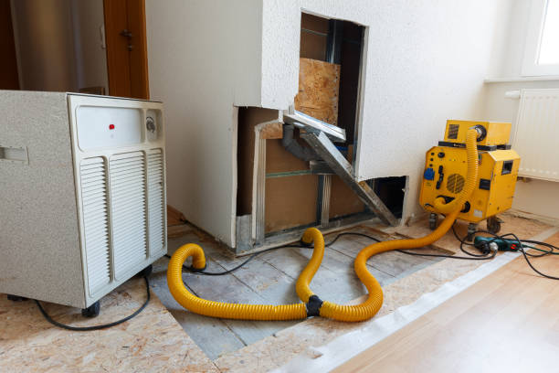 Best Emergency Mold Remediation  in Crab Orchard, WV
