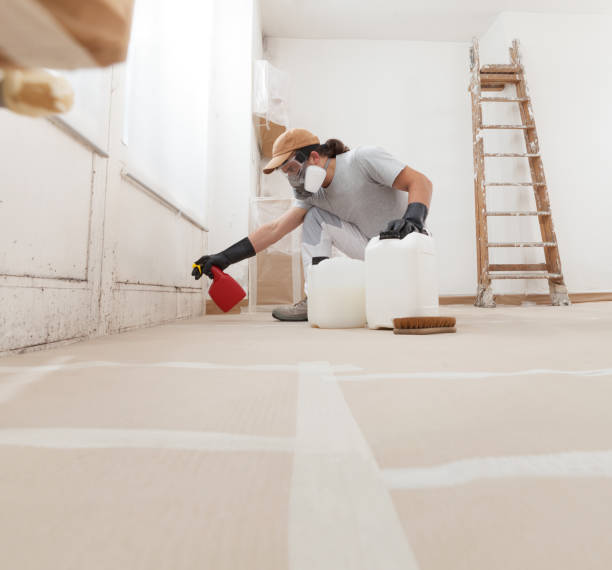 Biohazard Mold Removal in Crab Orchard, WV