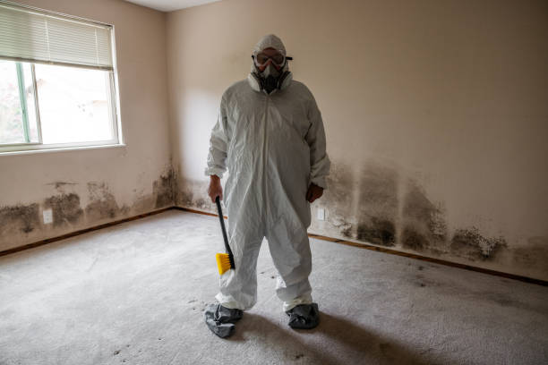 Best Comprehensive Air Testing for Mold Contaminants  in Crab Orchard, WV